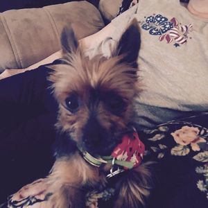 Meet your Posher, Paula